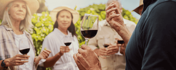 A group of people gathered at a wine tasting in a vineyard